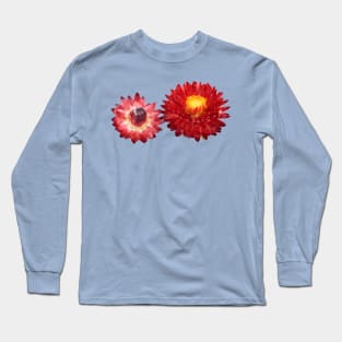 Helichrysum bracteatum 'Nevada Red' Everlasting flower Long Sleeve T-Shirt